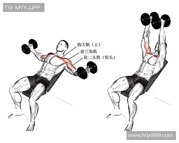 哑铃飞鸟运动的主要锻炼部位及其对肌肉发展的影响分析